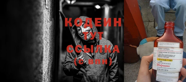 стаф Инта