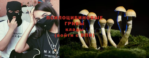 гидропоника Инсар
