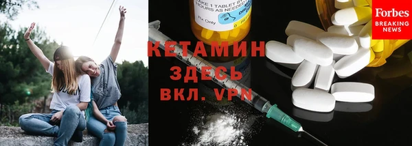 стаф Инта