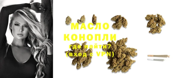 сатива Каменка