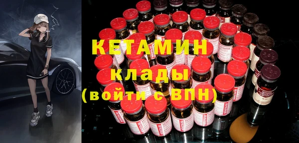 сатива Каменка
