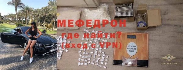 сатива Каменка