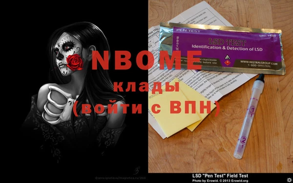 стаф Инта