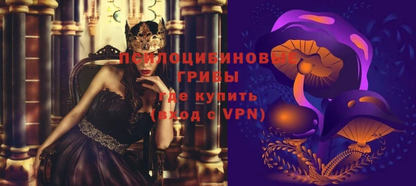 сатива Каменка