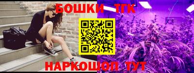 гашик Кингисепп