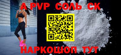 гашик Кингисепп