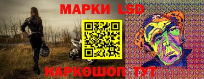 гашик Кингисепп