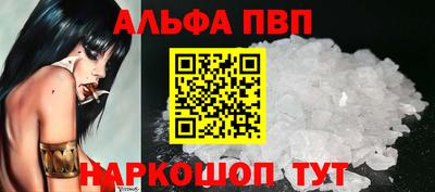 гашик Кингисепп