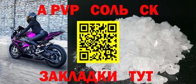 гашик Кингисепп