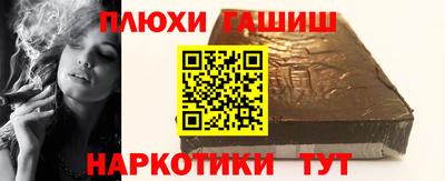 гашик Кингисепп